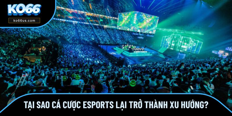 Cá cược esports được ưa chuộng với nhiều ưu điểm Cá cược esports được ưa chuộng với nhiều ưu điểm
