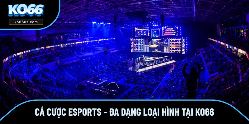 Cá Cược ESports - Đa Dạng Loại Hình Và Hấp Dẫn Tại KO66