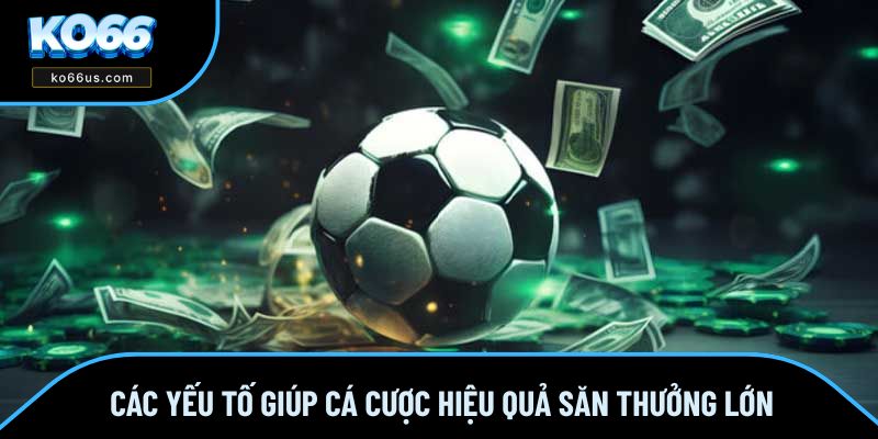 Các yếu tố giúp cá cược hiệu quả săn thưởng lớn Các yếu tố giúp cá cược hiệu quả săn thưởng lớn