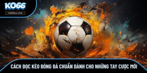 Cách Đọc Kèo Bóng Đá Chuẩn Dành Cho Những Tay Cược Mới