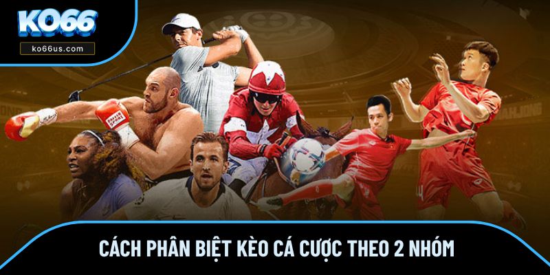 Cách phân biệt kèo cá cược theo 2 nhóm Cách phân biệt kèo cá cược theo 2 nhóm