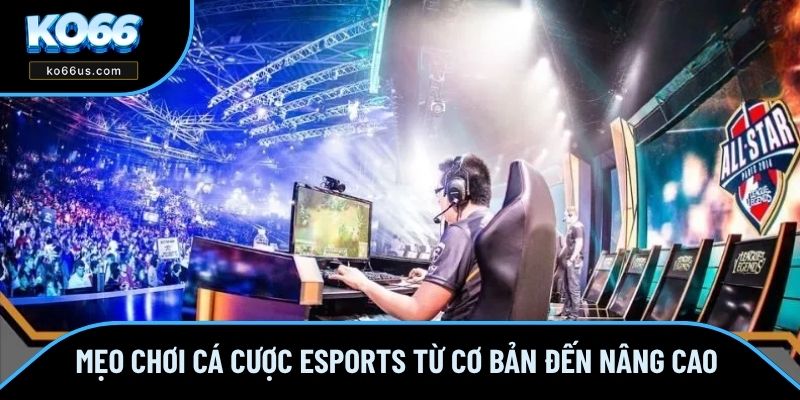 Mẹo chơi cá cược eSports từ cơ bản đến nâng cao Mẹo chơi cá cược eSports từ cơ bản đến nâng cao