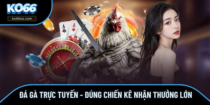 Đá Gà Trực Tuyến - Chọn Đúng Chiến Kê Nhận Thưởng Lớn