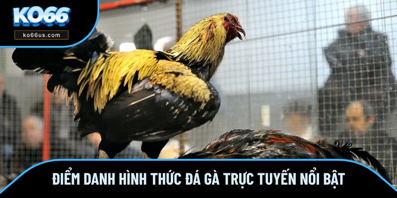 Điểm danh hình thức đá gà trực tuyến nổi bật Điểm danh hình thức đá gà trực tuyến nổi bật