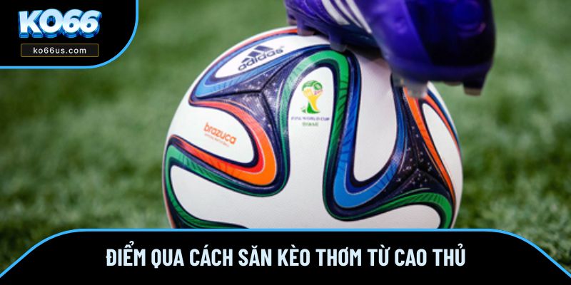 Điểm qua danh sách mẹo từ cao thủ chuyên nghiệp Điểm qua danh sách mẹo từ cao thủ chuyên nghiệp