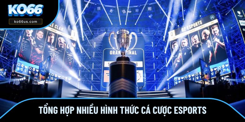 Top những hình thức cá cược Esports phổ biến nhất Top những hình thức cá cược Esports phổ biến nhất