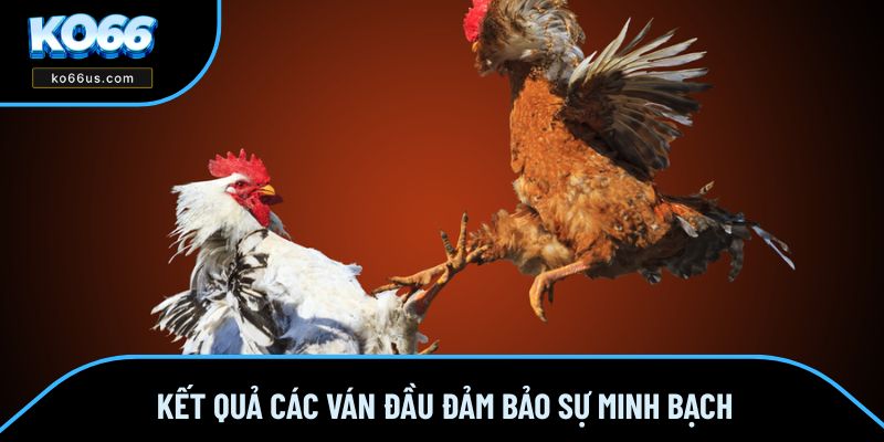 Kết quả các ván đầu đảm bảo sự minh bạch Kết quả các ván đầu đảm bảo sự minh bạch