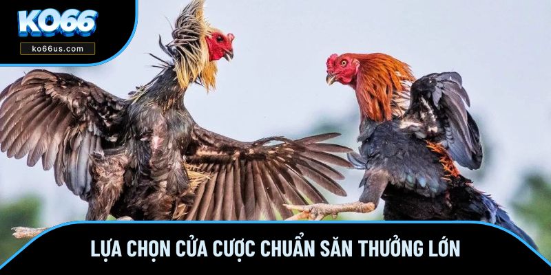 Lựa chọn cửa cược chuẩn săn thưởng lớn Lựa chọn cửa cược chuẩn săn thưởng lớn