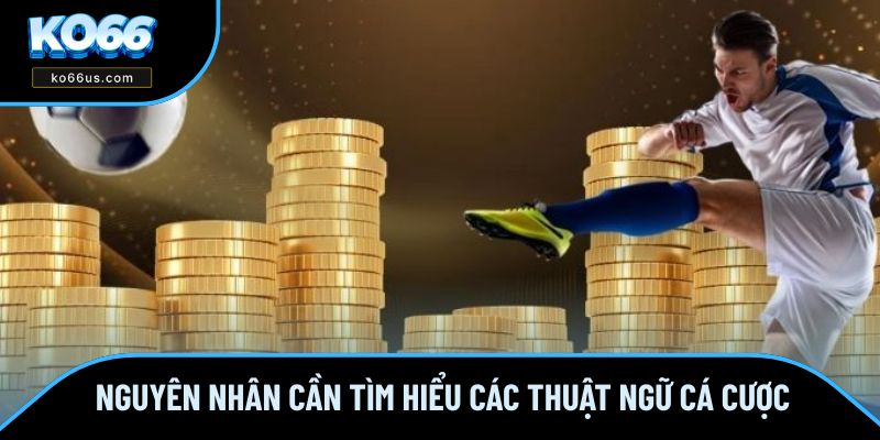 Nguyên nhân cần tìm hiểu các thuật ngữ cá cược Nguyên nhân cần tìm hiểu các thuật ngữ cá cược