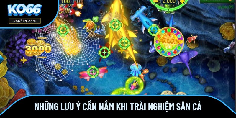 Những lưu ý cần nắm khi trải nghiệm săn cá Những lưu ý cần nắm khi trải nghiệm săn cá