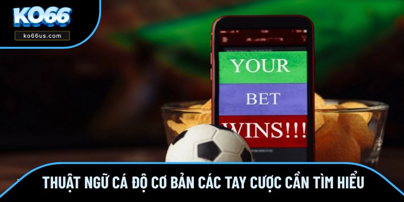 Thuật ngữ cá độ cơ bản các tay cược cần tìm hiểu