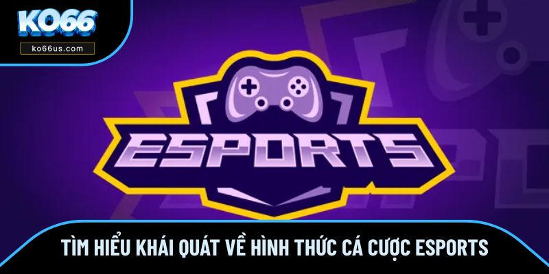 Tổng quan về hình thức giải trí Esports hiện nay Tổng quan về hình thức giải trí Esports hiện nay