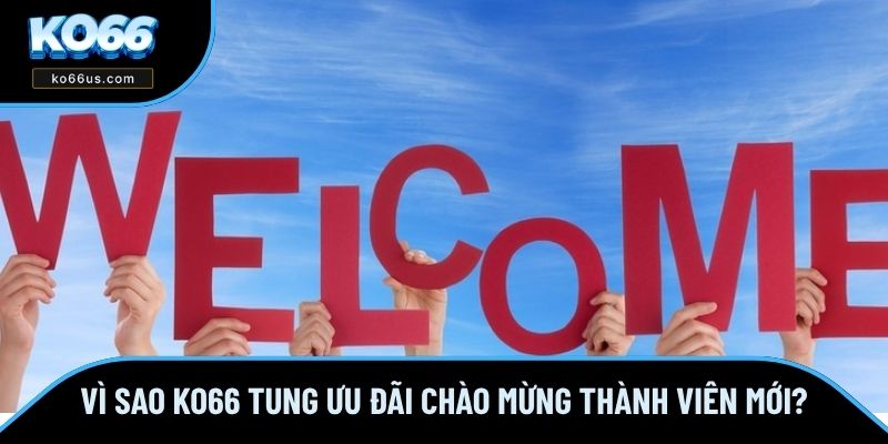 Vì sao KO66 tung ưu đãi chào mừng thành viên mới? Vì sao KO66 tung ưu đãi chào mừng thành viên mới?