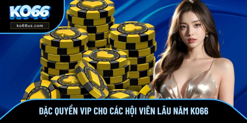 Đặc quyền VIP cho các hội viên lâu năm KO66 Đặc quyền VIP cho các hội viên lâu năm KO66